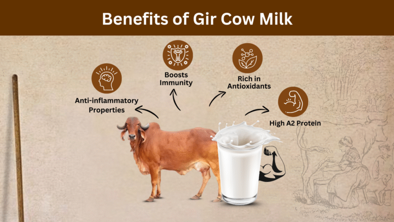 Benefits-of-Gir-Cow-Milk
