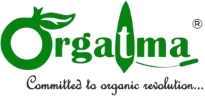 orgatma-logo