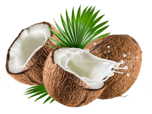 pngegg-11-1-1-595x444