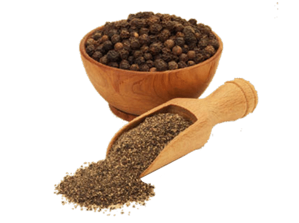 pngegg-16-1-1-595x444