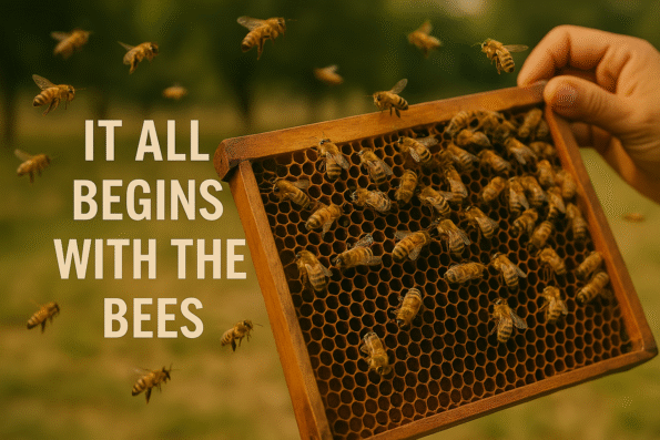 Copilot_20250621_114744-595x397